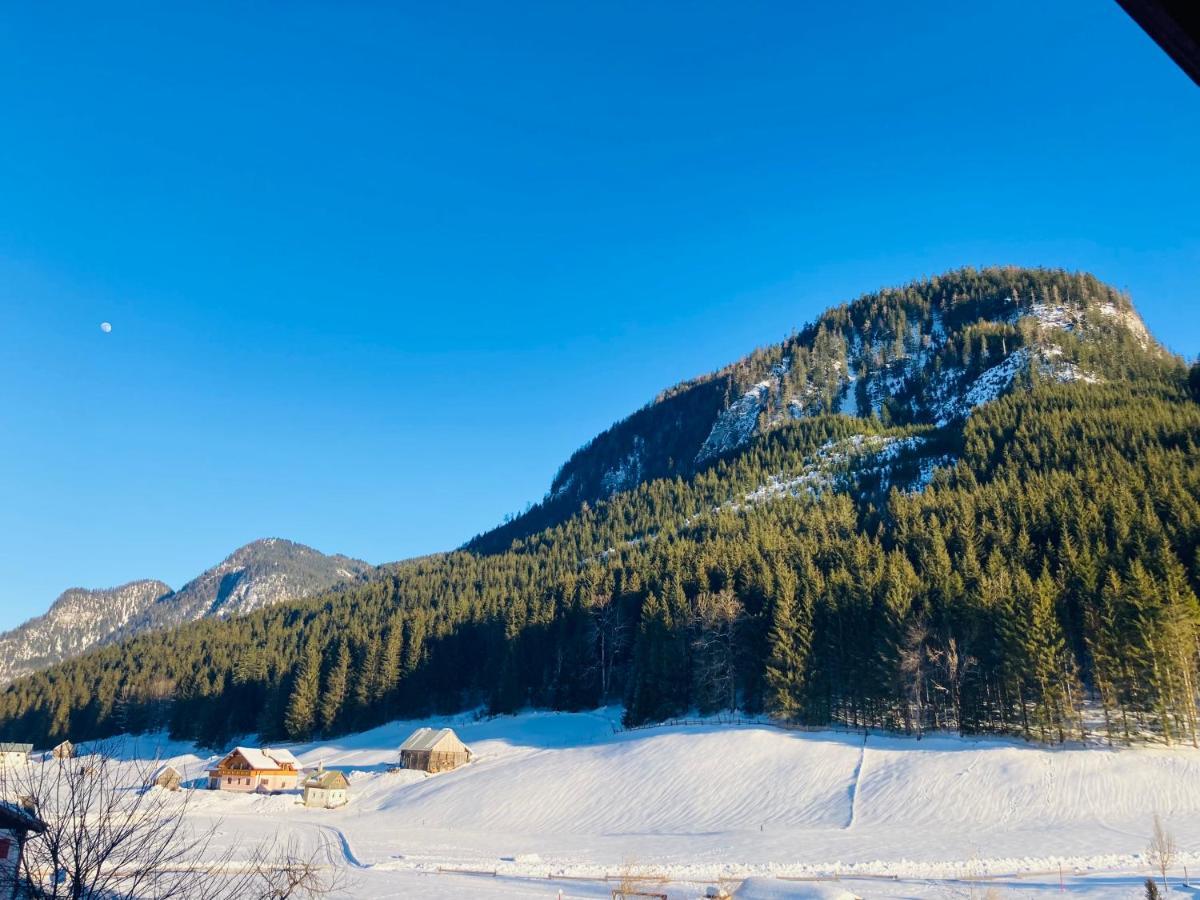 Hallstatt Dachstein Inn ゴーザウ エクステリア 写真
