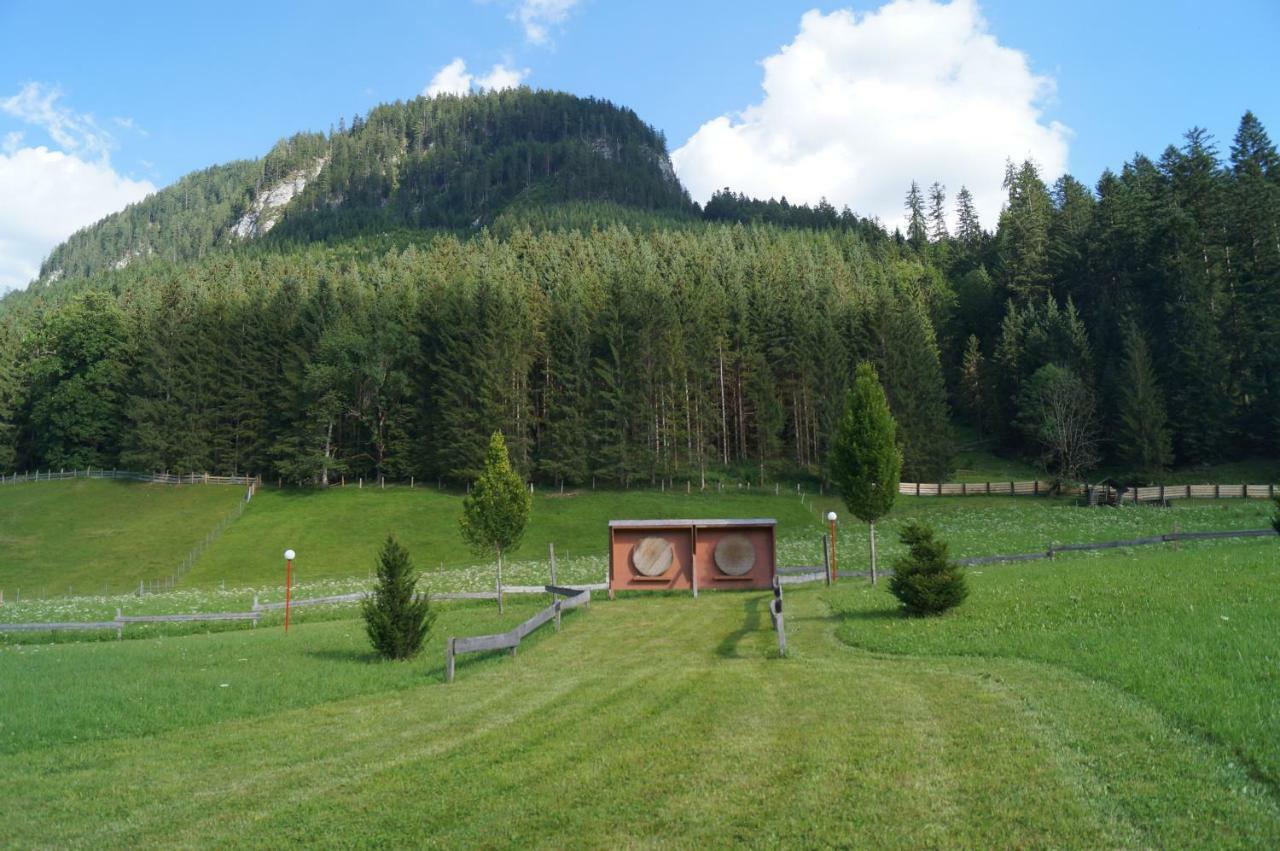 Hallstatt Dachstein Inn ゴーザウ エクステリア 写真
