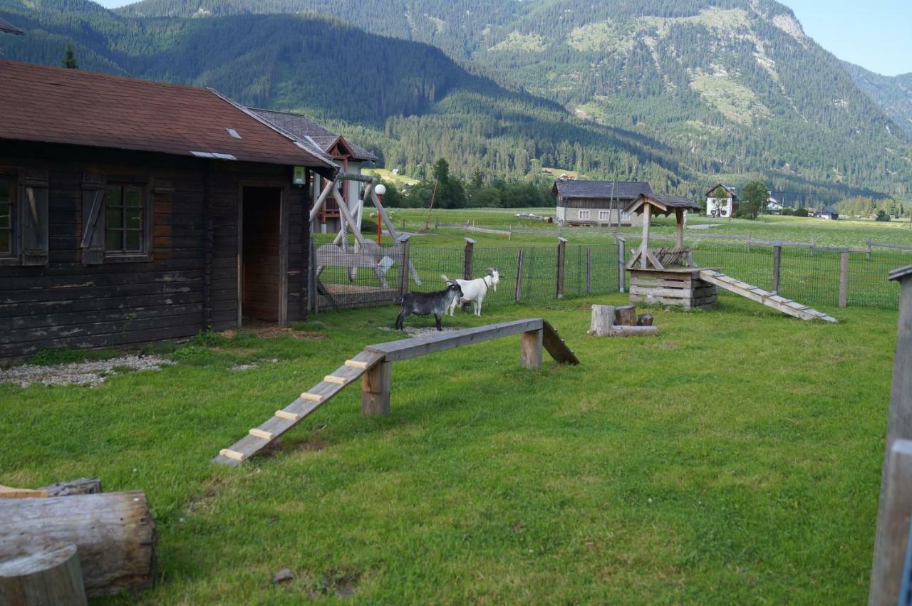 Hallstatt Dachstein Inn ゴーザウ エクステリア 写真